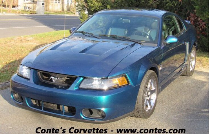 Photo for 2004 Ford Mustang